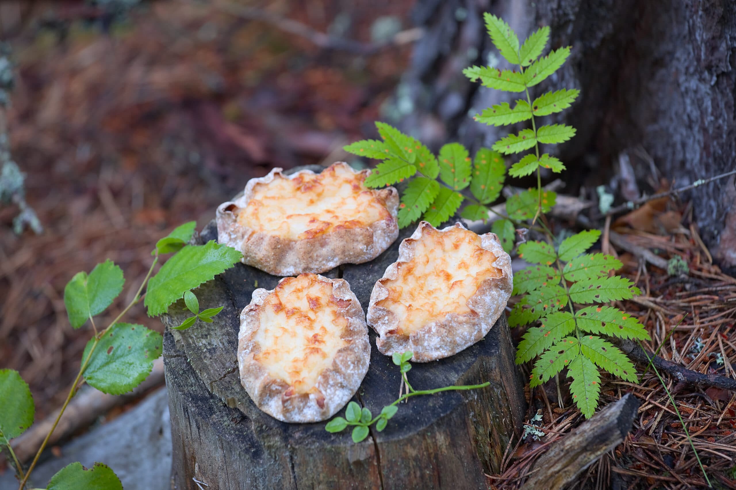 Drei karelische Piroggen auf einem Baumstumpf im Wald